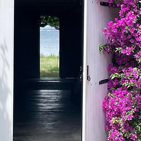 Apartman Havre De Paix Au Bord De Letang De Thau Avec Vue-magnifiques Couchers De Soleil-et Acces Direct Et Prive A L'eau-possibilite De Se Garer Gratuitement Dans La Rue *